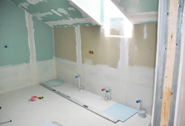 Best Mold Remediation for Rental Properties  in Forestville, MD