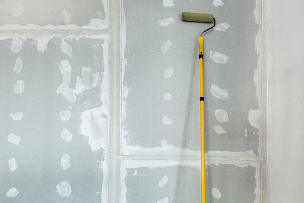 Best Mold Odor Removal Services  in Forestville, MD