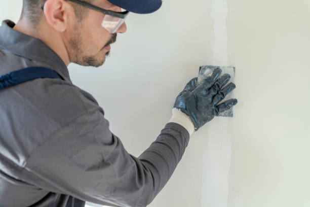 Best Basement Mold Removal  in Forestville, MD