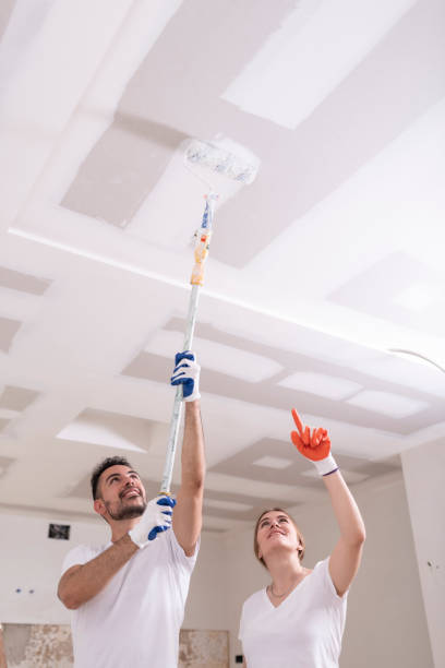 Best Mold Documentation for Insurance Claims  in Forestville, MD