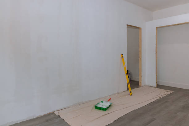 Best Commercial Mold Inspection  in Forestville, MD