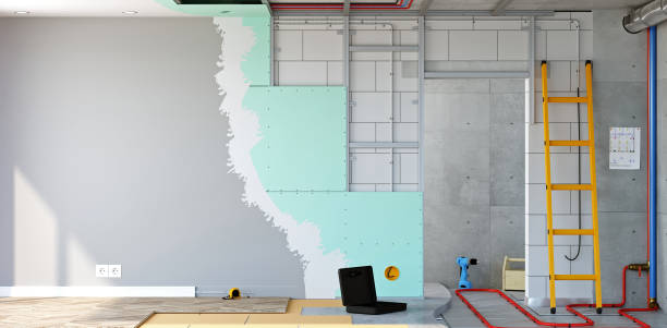 Best Real Estate Mold Inspection  in Forestville, MD