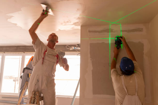 Best Mold Removal for HVAC Installations  in Forestville, MD