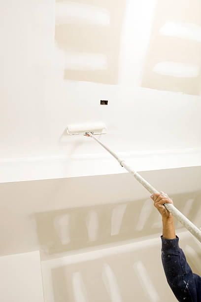  Forestville, MD Mold Removal Pros