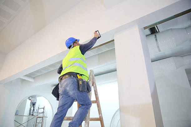 Best Asbestos and Lead Testing During Mold Inspection  in Forestville, MD