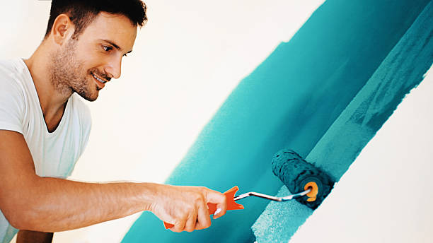 Best Mold Prevention Services  in Forestville, MD