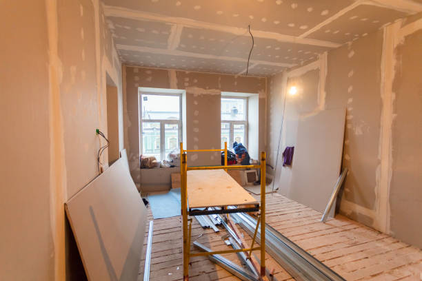 Best Industrial Mold Remediation  in Forestville, MD