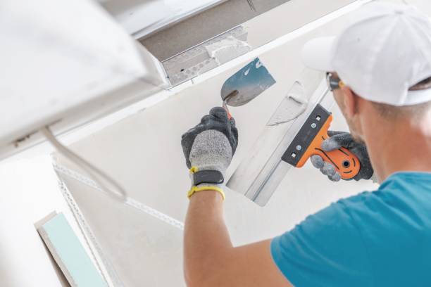 Best Environmental Consulting for Mold Prevention  in Forestville, MD